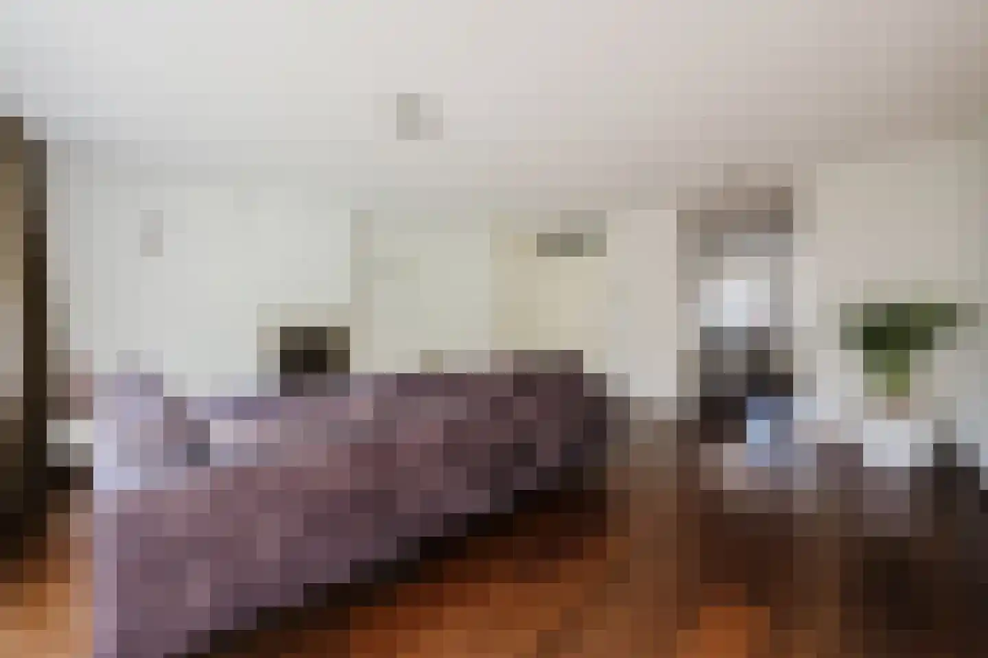 Vlietstraat 4 Spijkenisse thumbnail 10