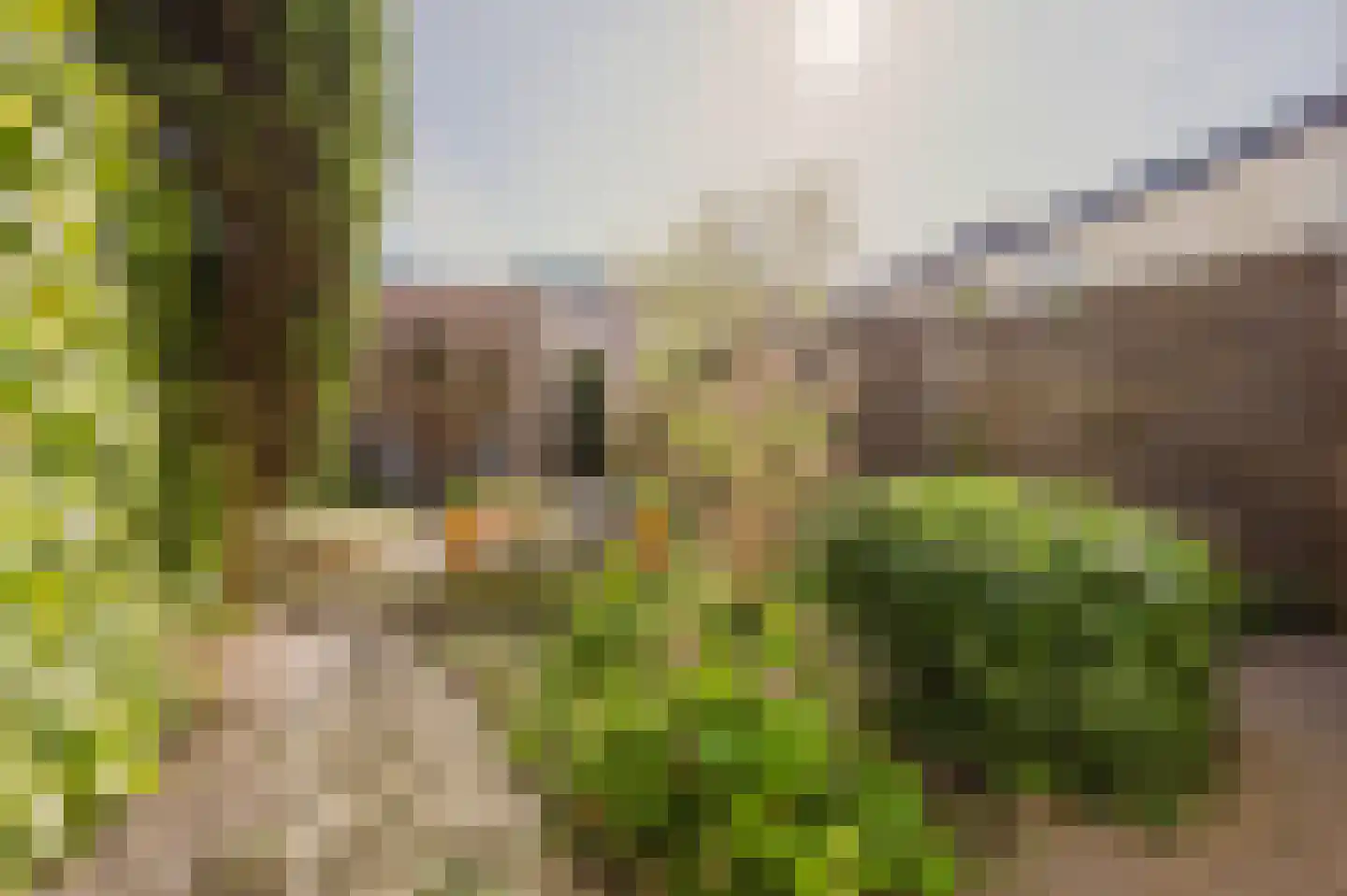 Vlietstraat 4 Spijkenisse thumbnail 15