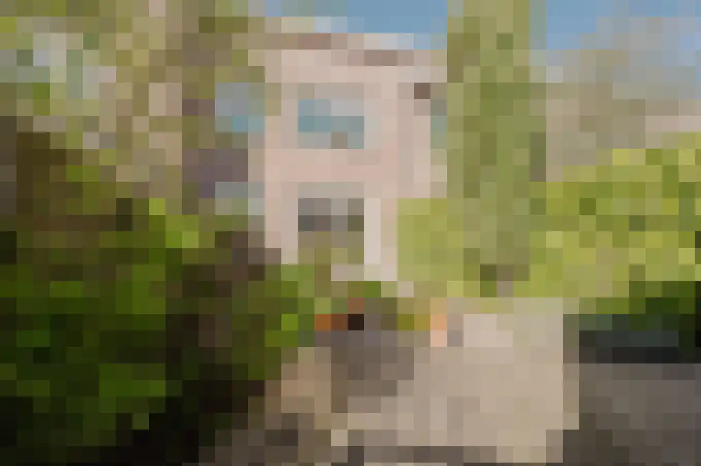 Vlietstraat 4 Spijkenisse thumbnail 17