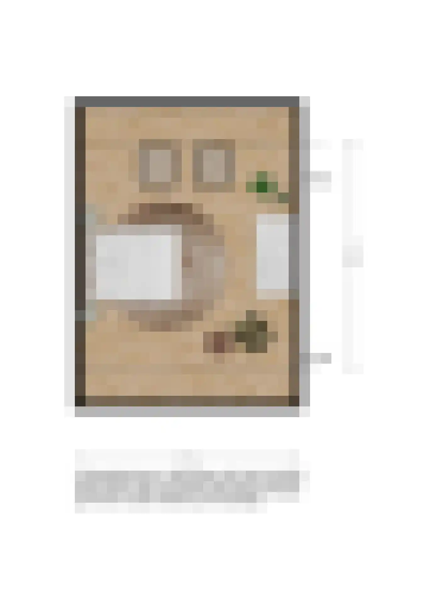 Vlietstraat 4 Spijkenisse thumbnail 28