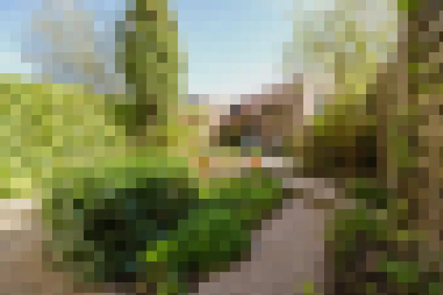 Vlietstraat 4 Spijkenisse thumbnail 4