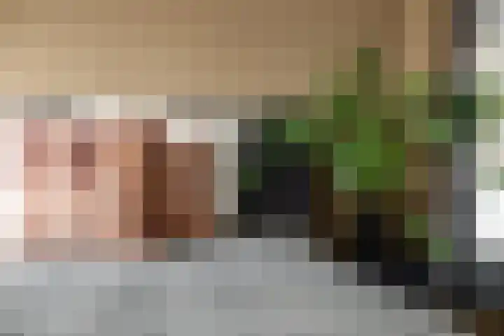 Vlietstraat 42 Schelluinen thumbnail 11