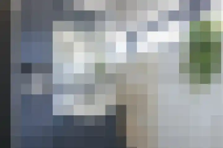 Vlietstraat 42 Schelluinen thumbnail 13