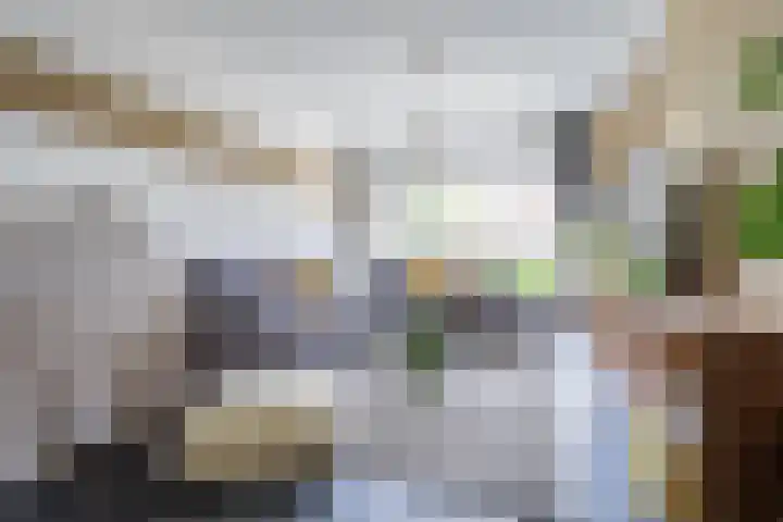 Vlietstraat 42 Schelluinen thumbnail 4