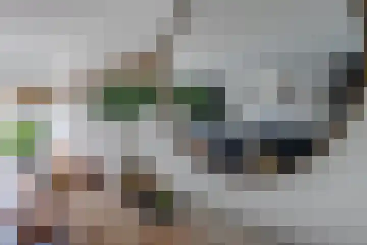 Vlietstraat 42 Schelluinen thumbnail 6