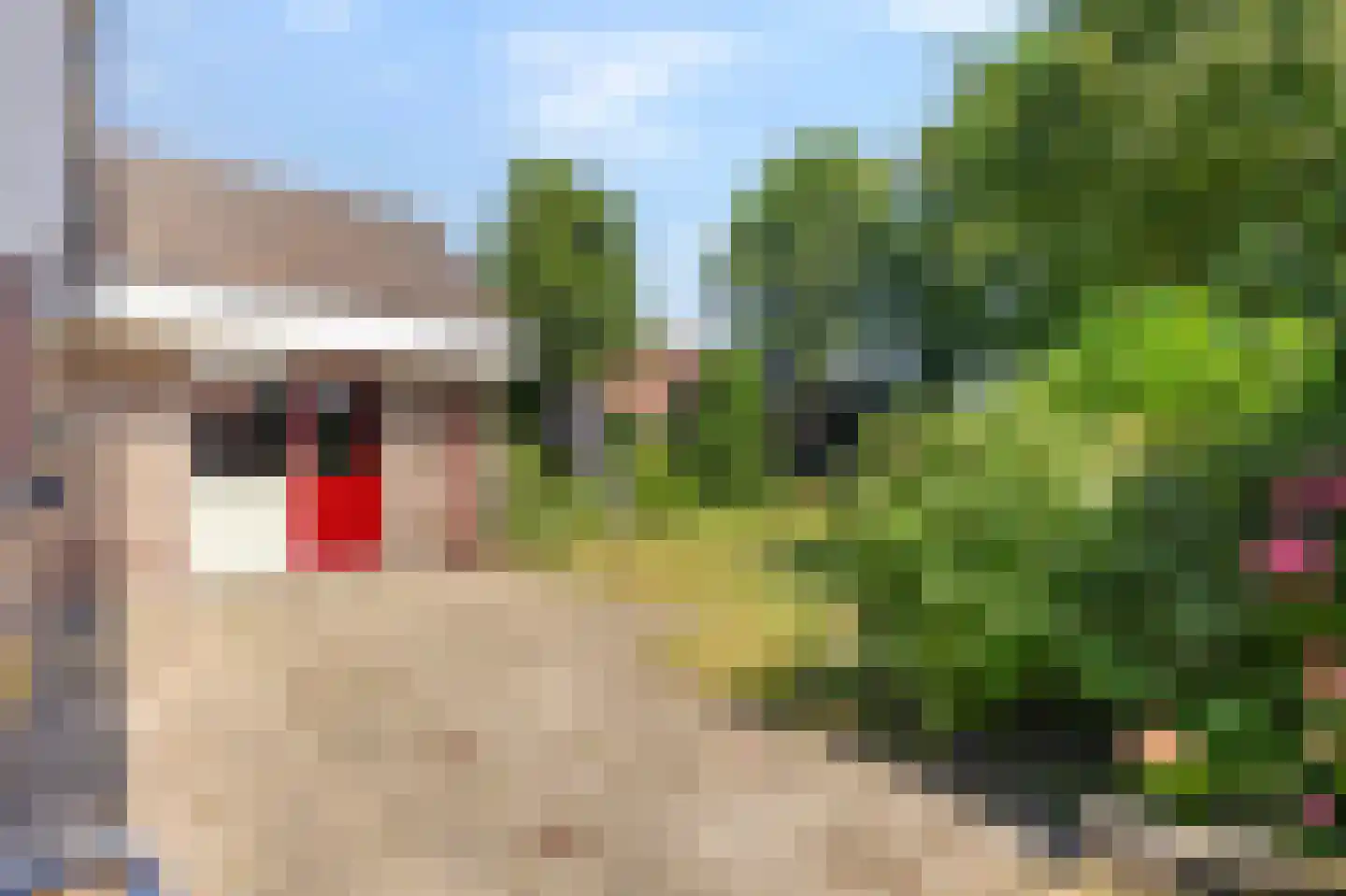 Vlietstraat 5 Julianadorp thumbnail 19