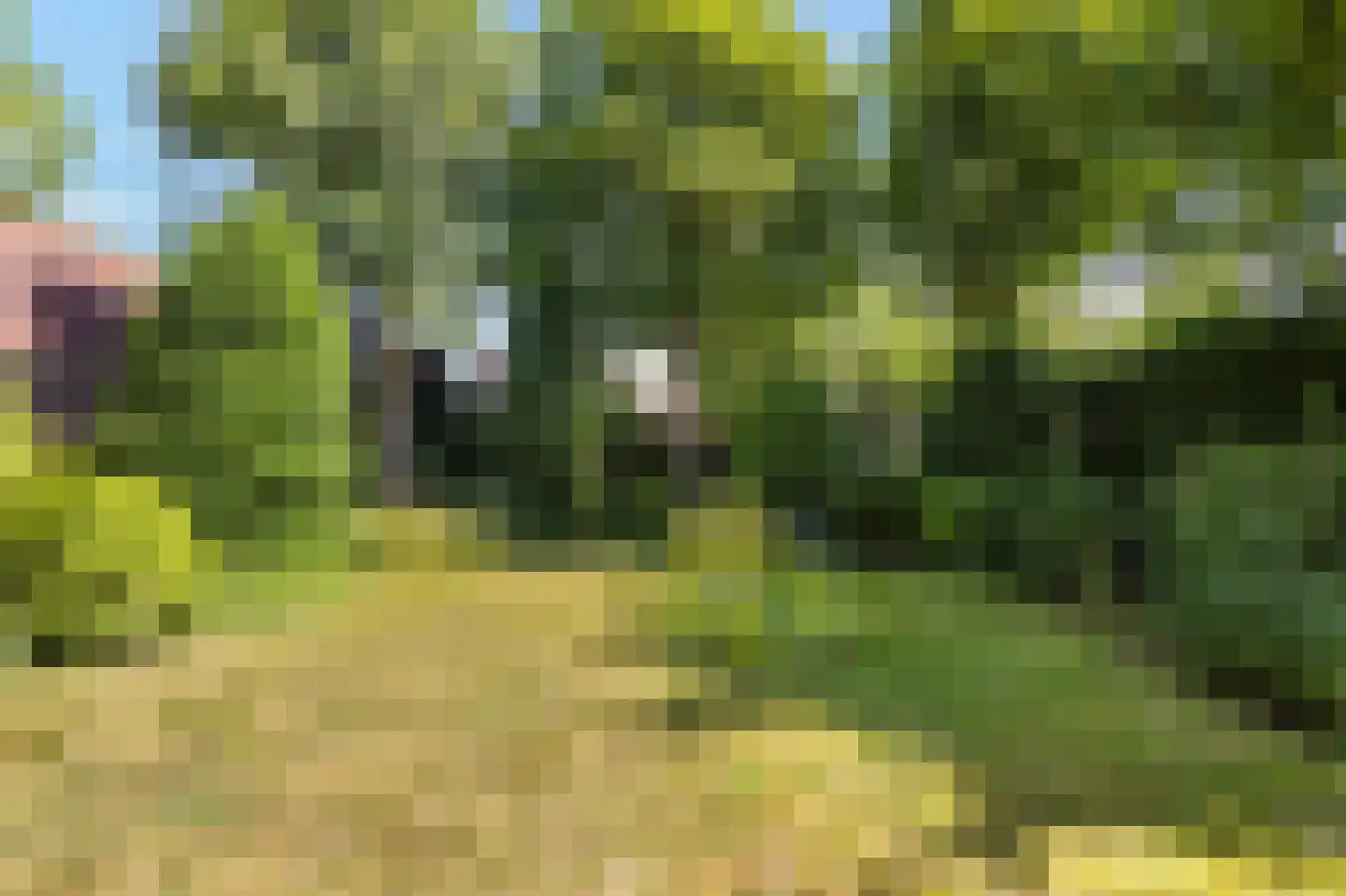 Vlietstraat 5 Julianadorp thumbnail 22