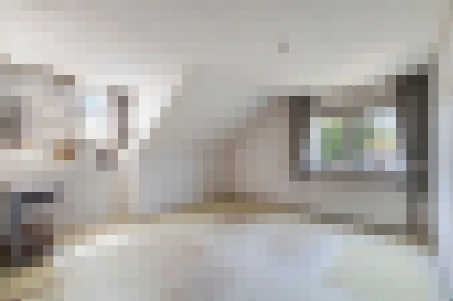 Vlietstraat 5 Julianadorp thumbnail 25