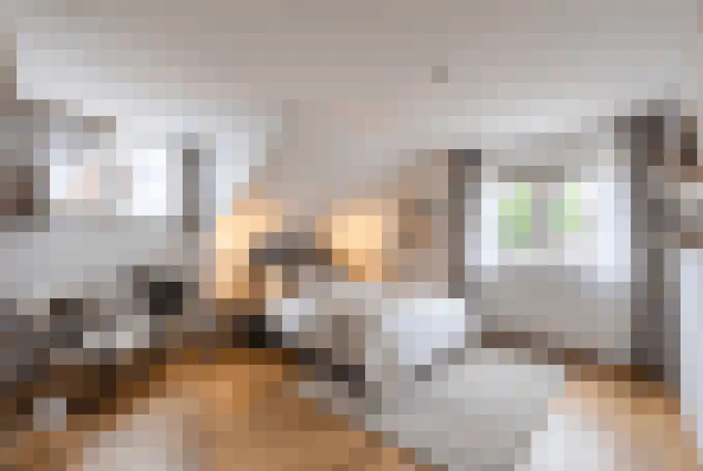 Vlietstraat 5 Julianadorp thumbnail 26