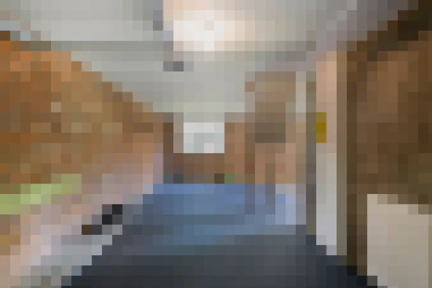 Vlietstraat 5 Julianadorp thumbnail 39