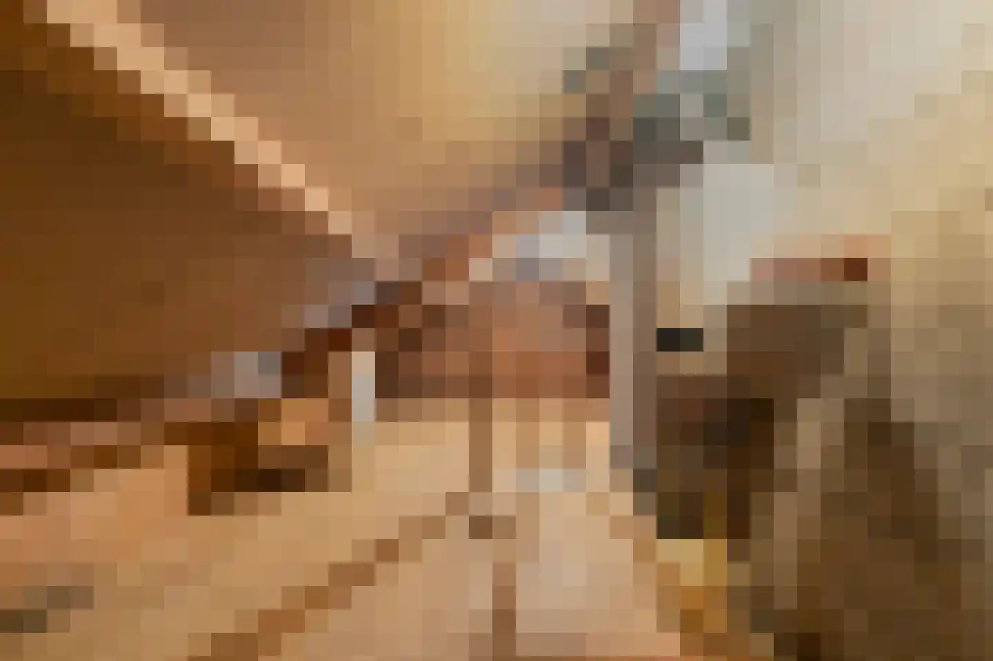 Vlietstraat 5 Julianadorp thumbnail 41