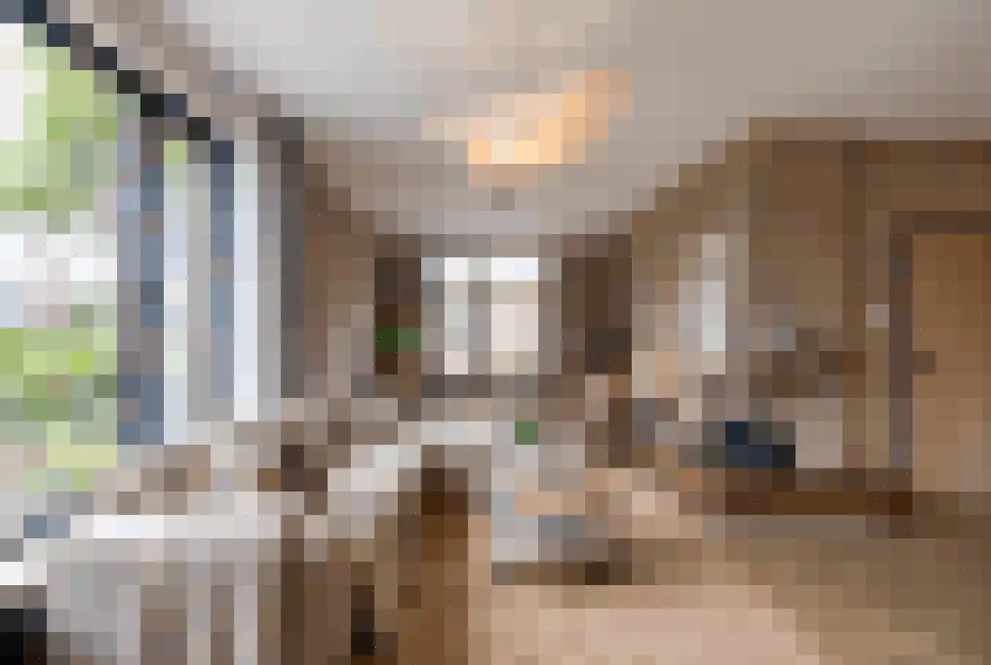 Vlietstraat 5 Julianadorp thumbnail 9