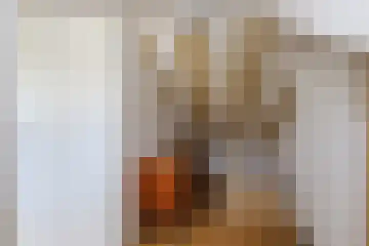 Vlietstraat 55 Nijmegen thumbnail 31