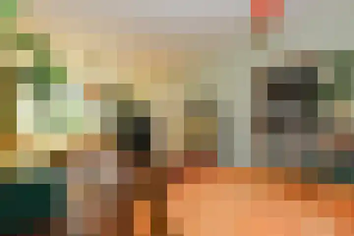 Vlietstraat 55 Nijmegen thumbnail 9