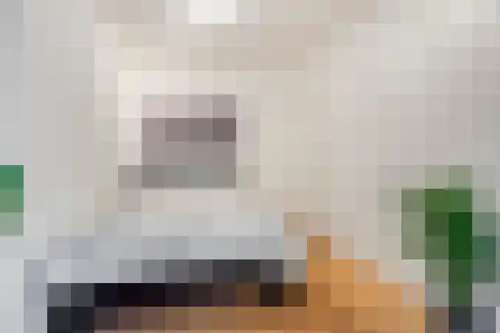 Vlietstraat 6 Utrecht thumbnail 10