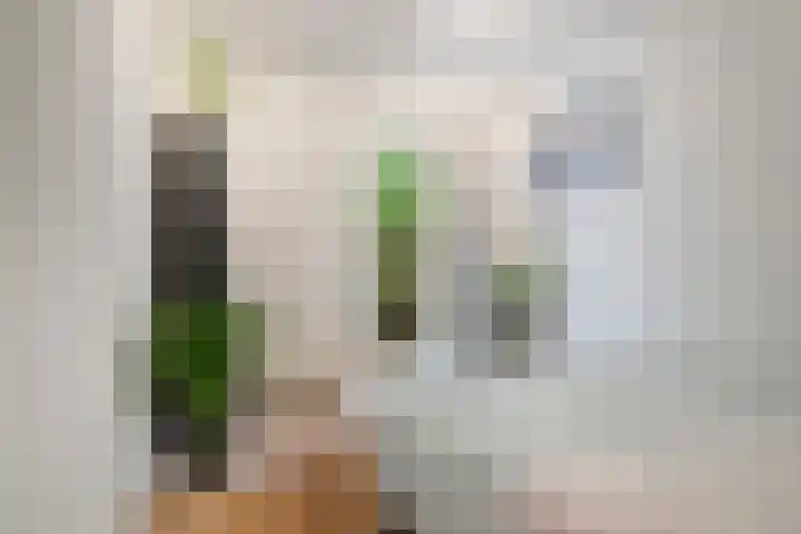 Vlietstraat 6 Utrecht thumbnail 11