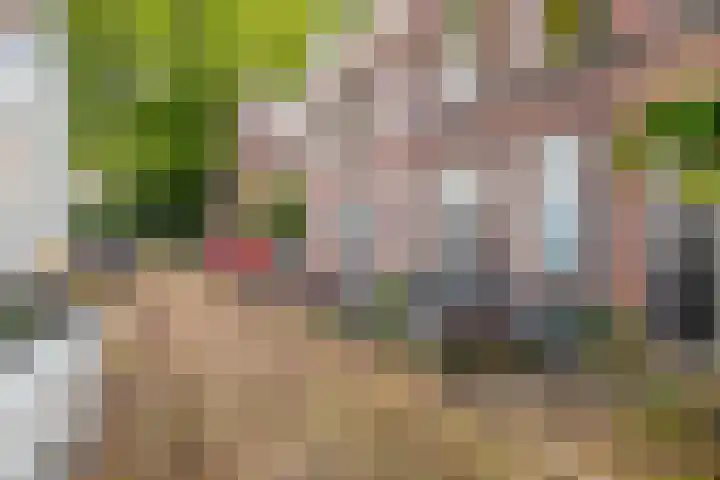 Vlietstraat 6 Utrecht thumbnail 16