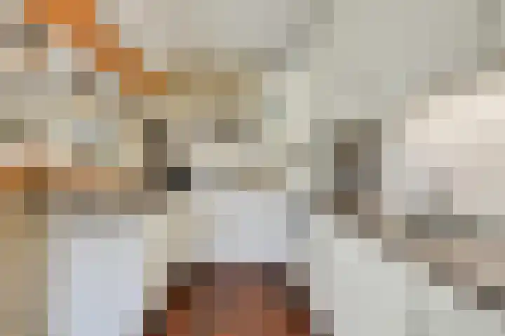 Vlietstraat 7 Gaanderen thumbnail 17