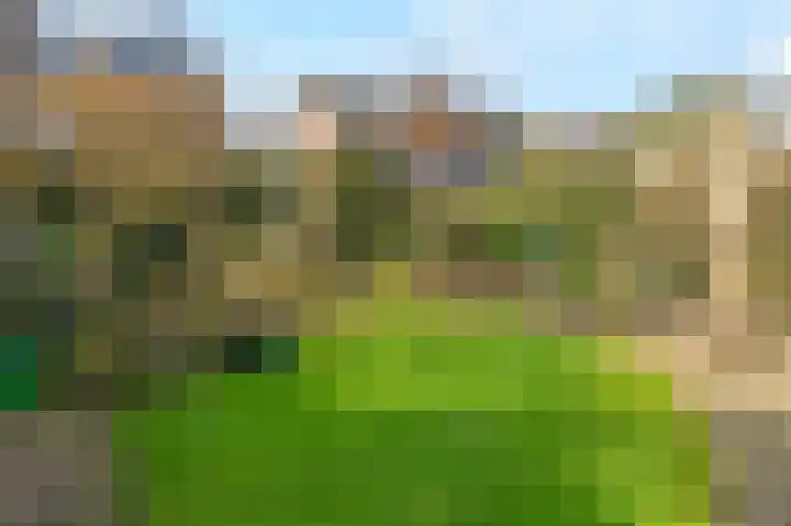 Vlietstraat 7 Gaanderen thumbnail 28