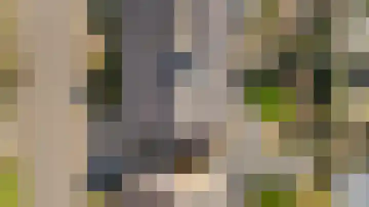Vlietstraat 7 Gaanderen thumbnail 34