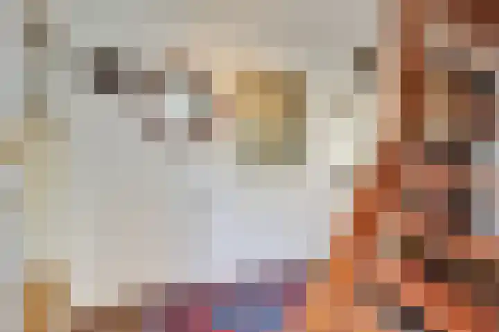 Vlietstraat 7 Gaanderen thumbnail 35