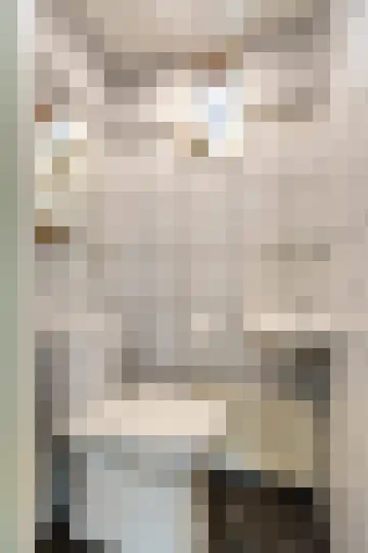 Vlietstraat 7 Gaanderen thumbnail 36