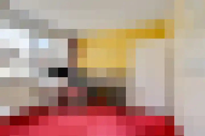 Vlietstraat 7 Gaanderen thumbnail 38