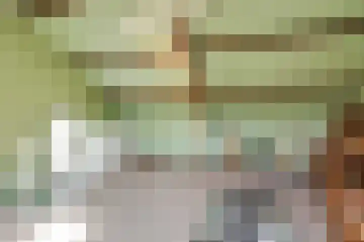 Vlietstraat 7 Gaanderen thumbnail 49