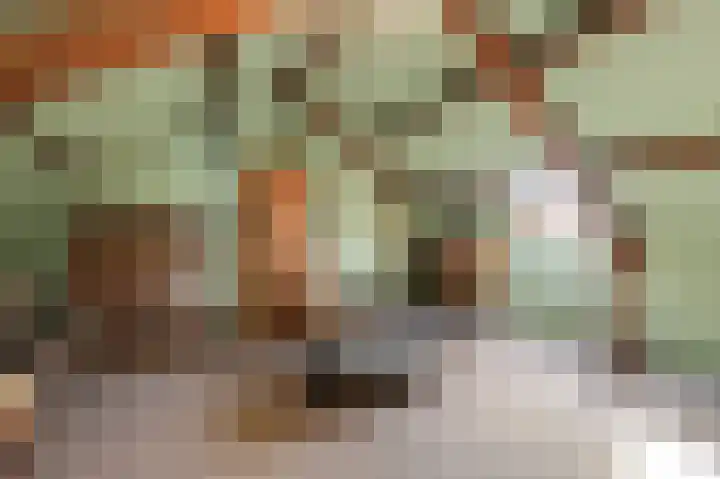 Vlietstraat 7 Gaanderen thumbnail 50