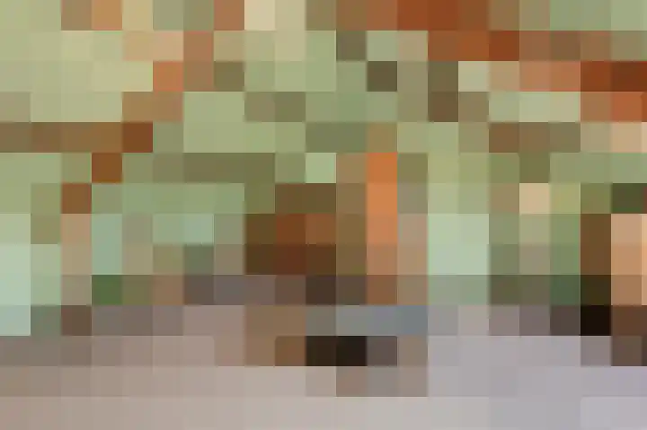 Vlietstraat 7 Gaanderen thumbnail 51