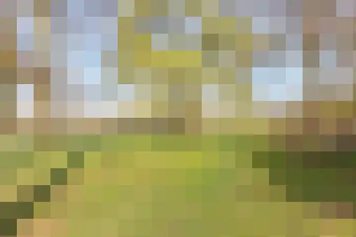 Vlietstraat 7 Gaanderen thumbnail 56