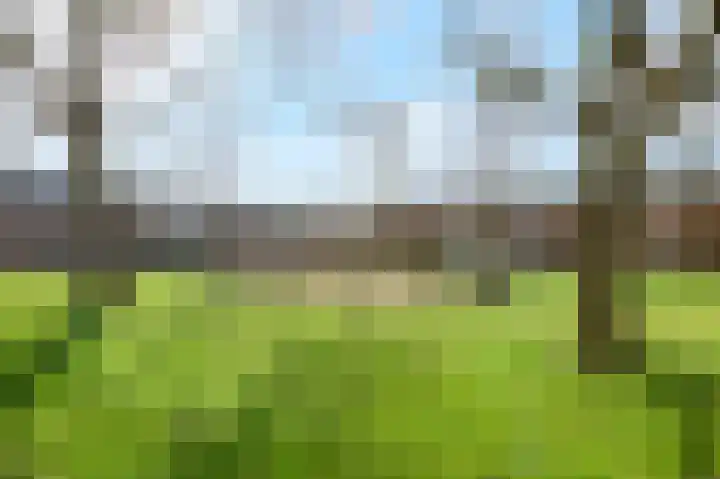 Vlietstraat 7 Gaanderen thumbnail 60
