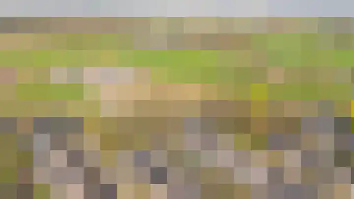 Vlietstraat 7 Gaanderen thumbnail 61