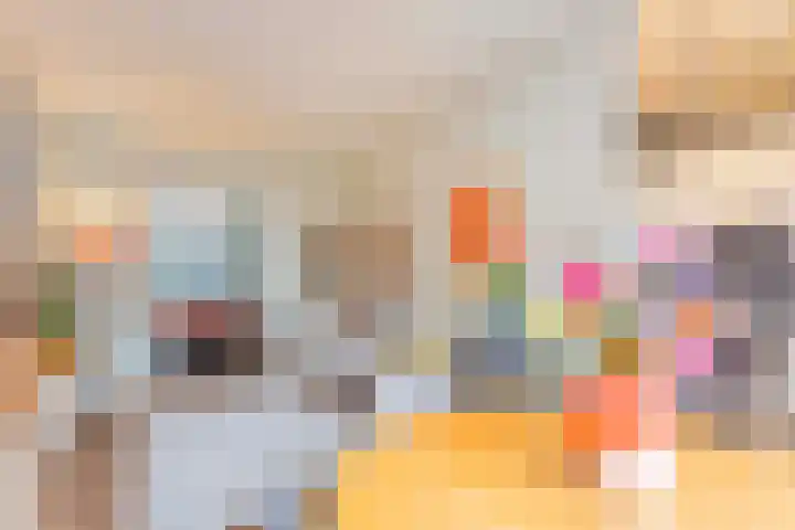 Vlietstraat 7 Utrecht thumbnail 10