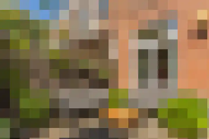 Vlietstraat 7 Utrecht thumbnail 16