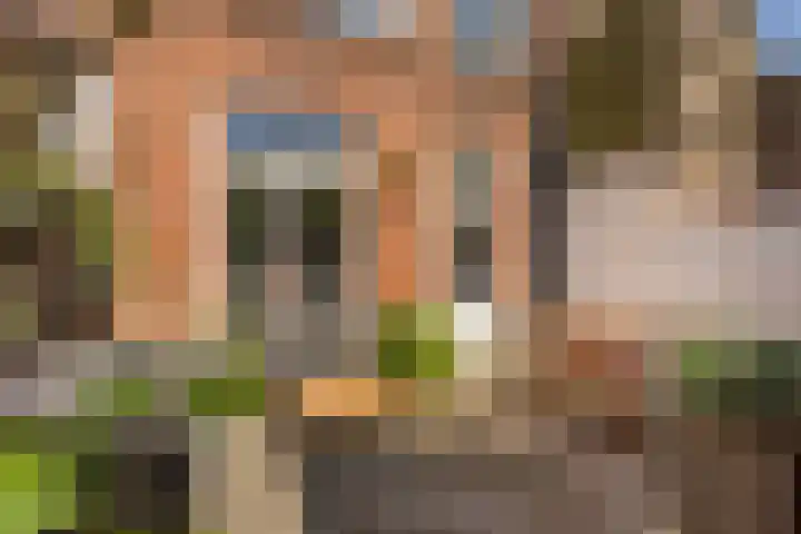 Vlietstraat 7 Utrecht thumbnail 19