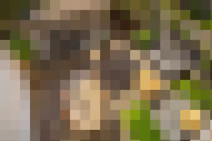 Vlietstraat 7 Utrecht thumbnail 20