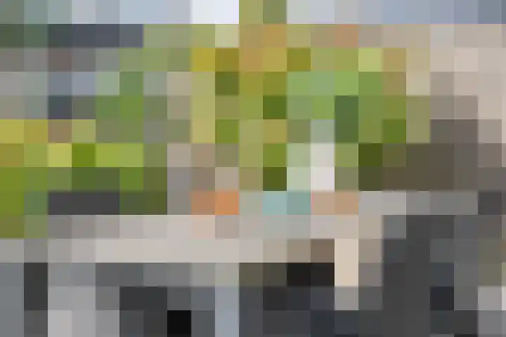 Vlietstraat 8 Schelluinen thumbnail 10