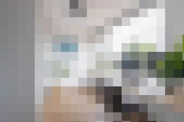 Vlietstraat 8 Schelluinen thumbnail 18