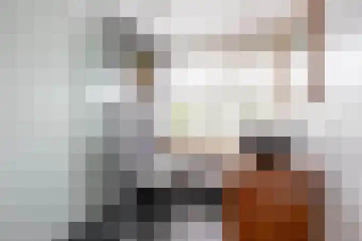 Vlietstraat 8 Schelluinen thumbnail 19