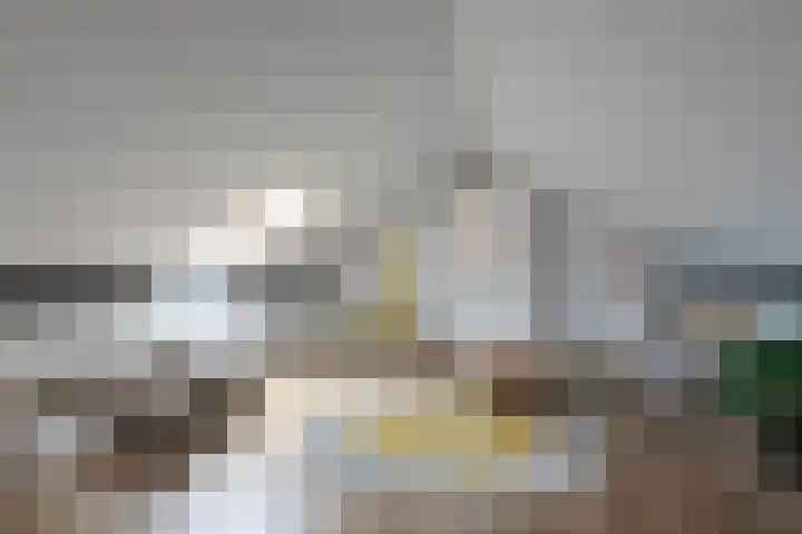 Vlietstraat 8 Schelluinen thumbnail 21