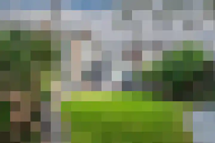 Vlietstraat 8 Schelluinen thumbnail 22