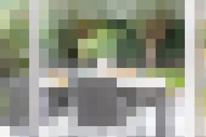 Vlietstraat 8 Schelluinen thumbnail 30