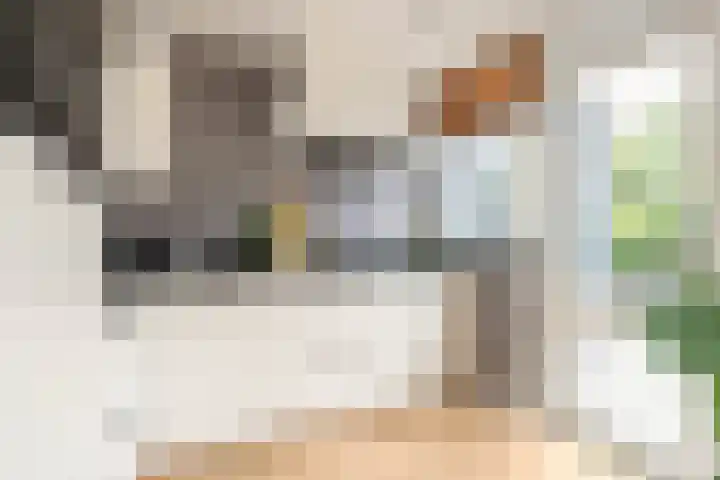 Vlietstraat 8 Schelluinen thumbnail 4