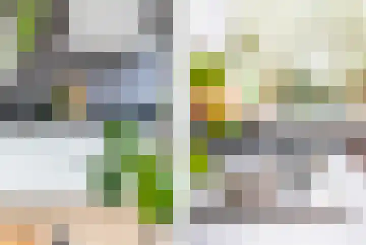 Vlietstraat 8 Schelluinen thumbnail 5