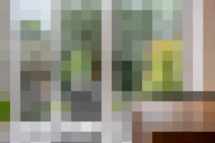 Vlietstraat 8 Schelluinen thumbnail 8
