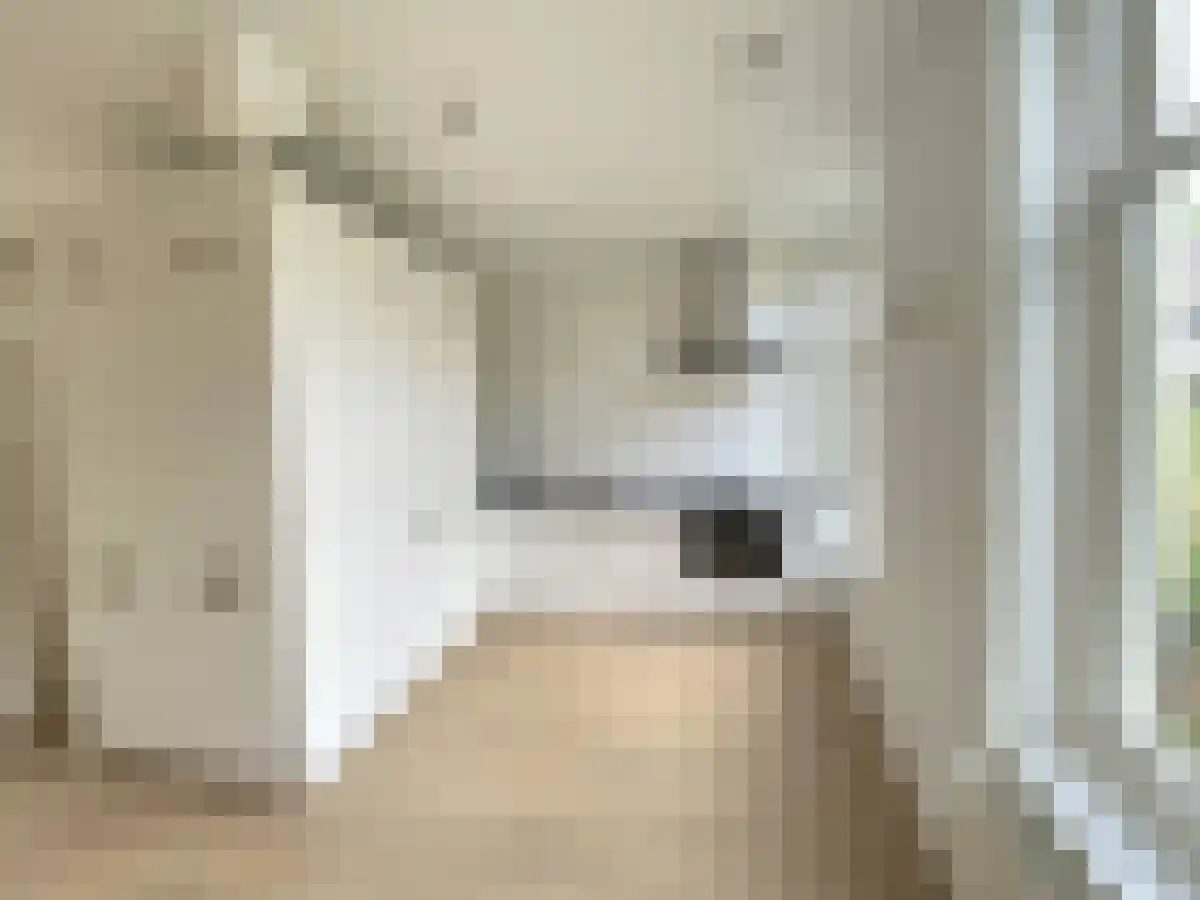 Vlietstraat 8 Utrecht thumbnail 5