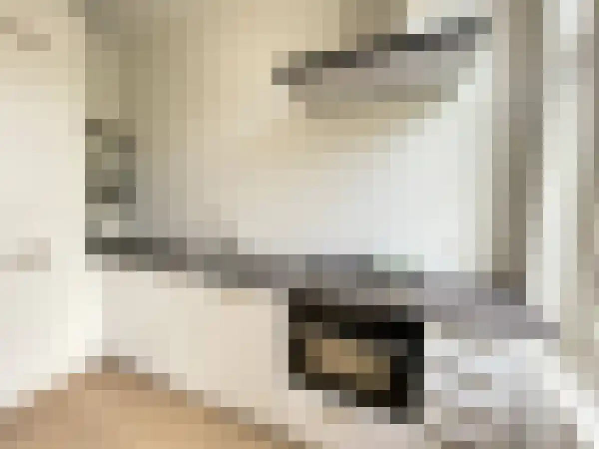 Vlietstraat 8 Utrecht thumbnail 6