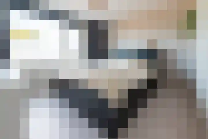 Vlietstraat 9 Schelluinen thumbnail 10