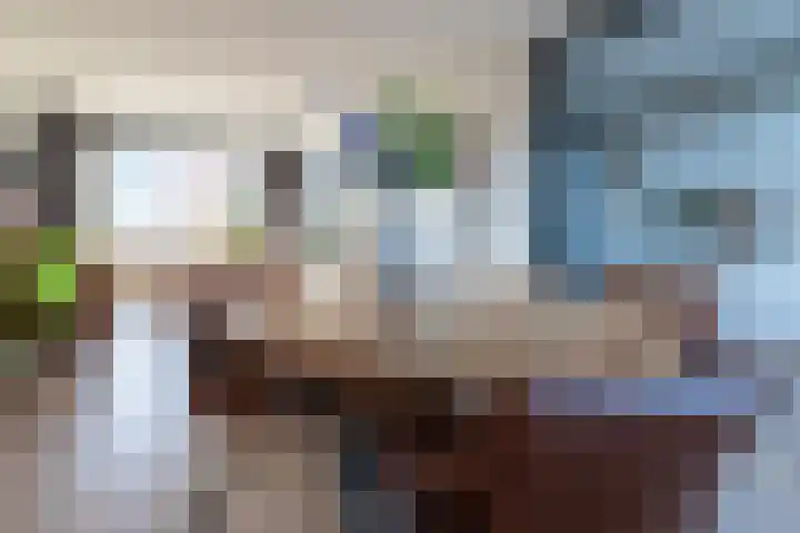 Vlietstraat 9 Schelluinen thumbnail 8